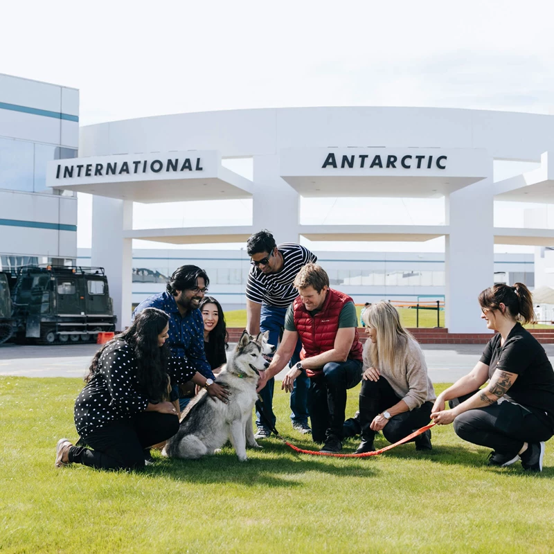 International Antarctic Centre