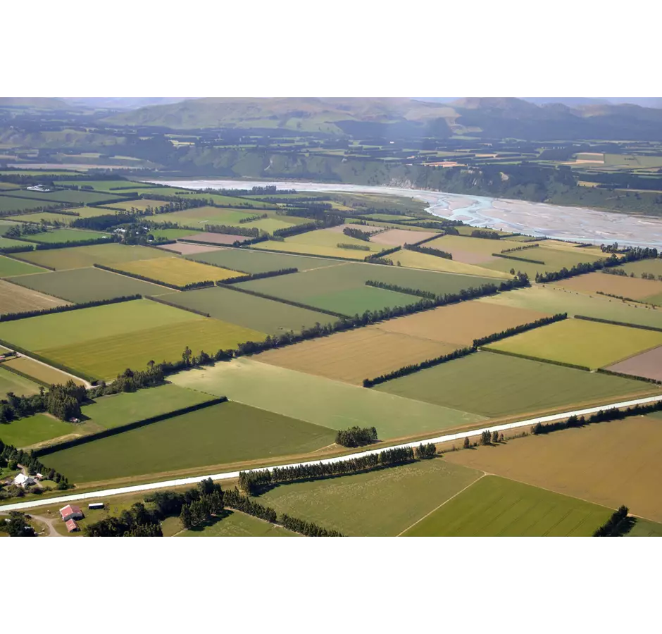 The Canterbury Plains