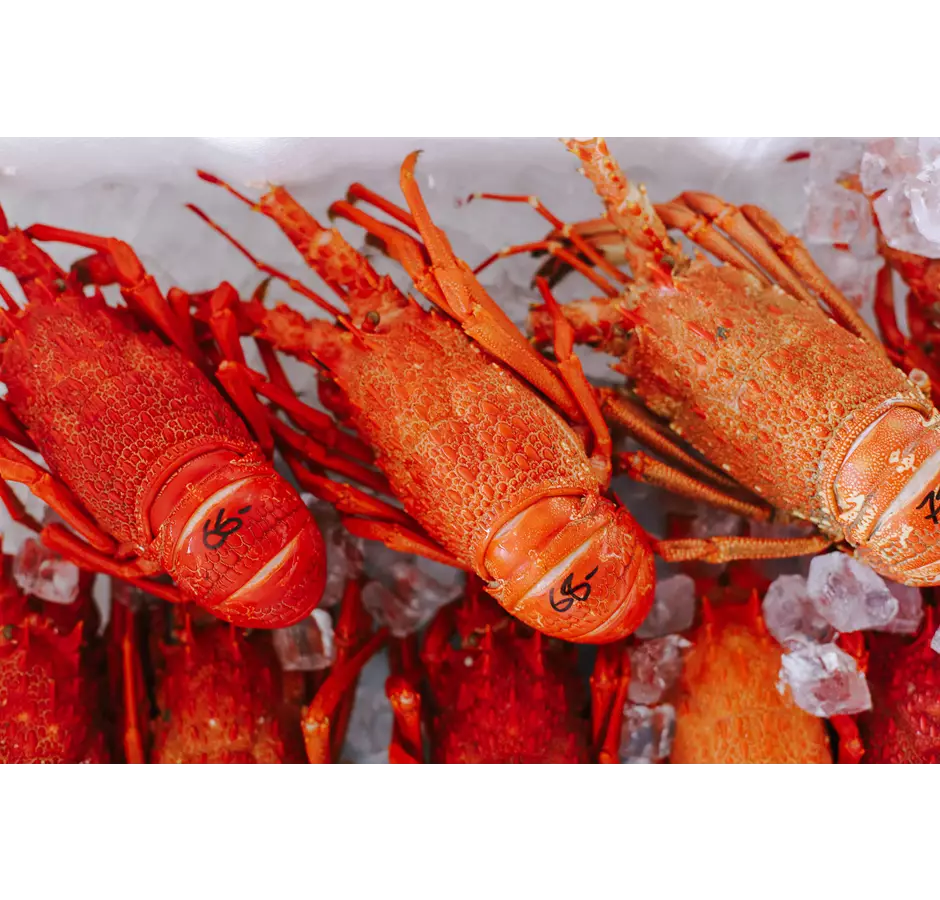 Nins Bin Crayfish